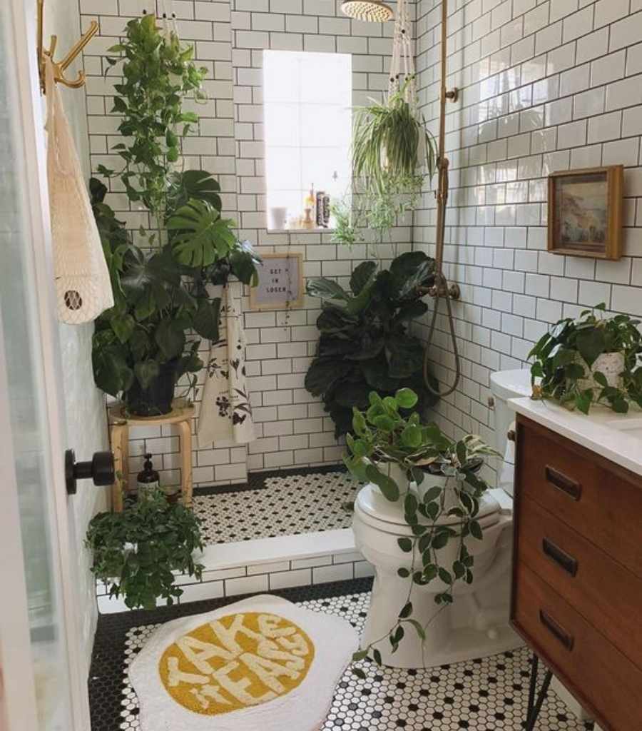 Wooden Open Shelves with Greenery